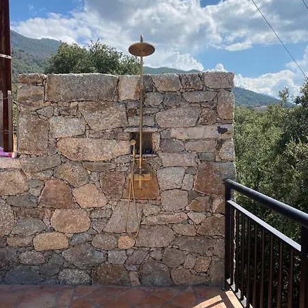 Villa De Standing, Piscine Chauffee,balagne,