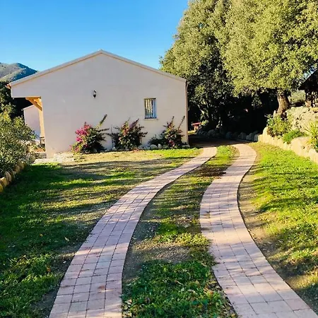 Вилла De Standing, Piscine Chauffee,balagne,